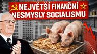 Největší finanční nesmysly socialismu: Proč se prasata krmila chlebem?